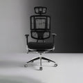 Forma Premium | Açık Renkli Ergonomik Ofis Koltuğu