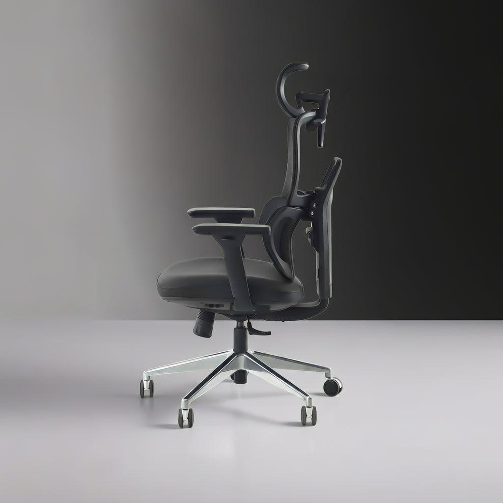 Flow | File Sırtlı Ergonomik Ev Ofisi ve Çalışma Koltuğu